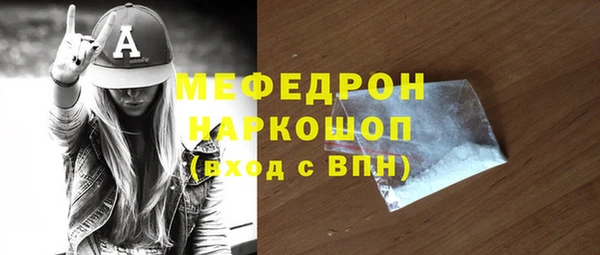 spice Богородицк