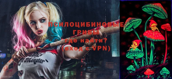 spice Богородицк