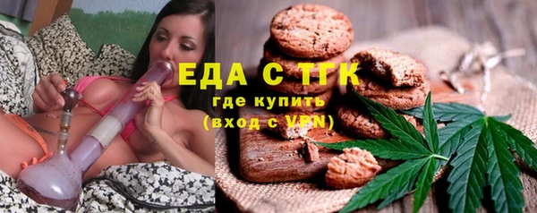 spice Богородицк