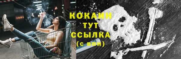 spice Богородицк