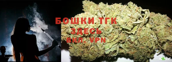 spice Богородицк